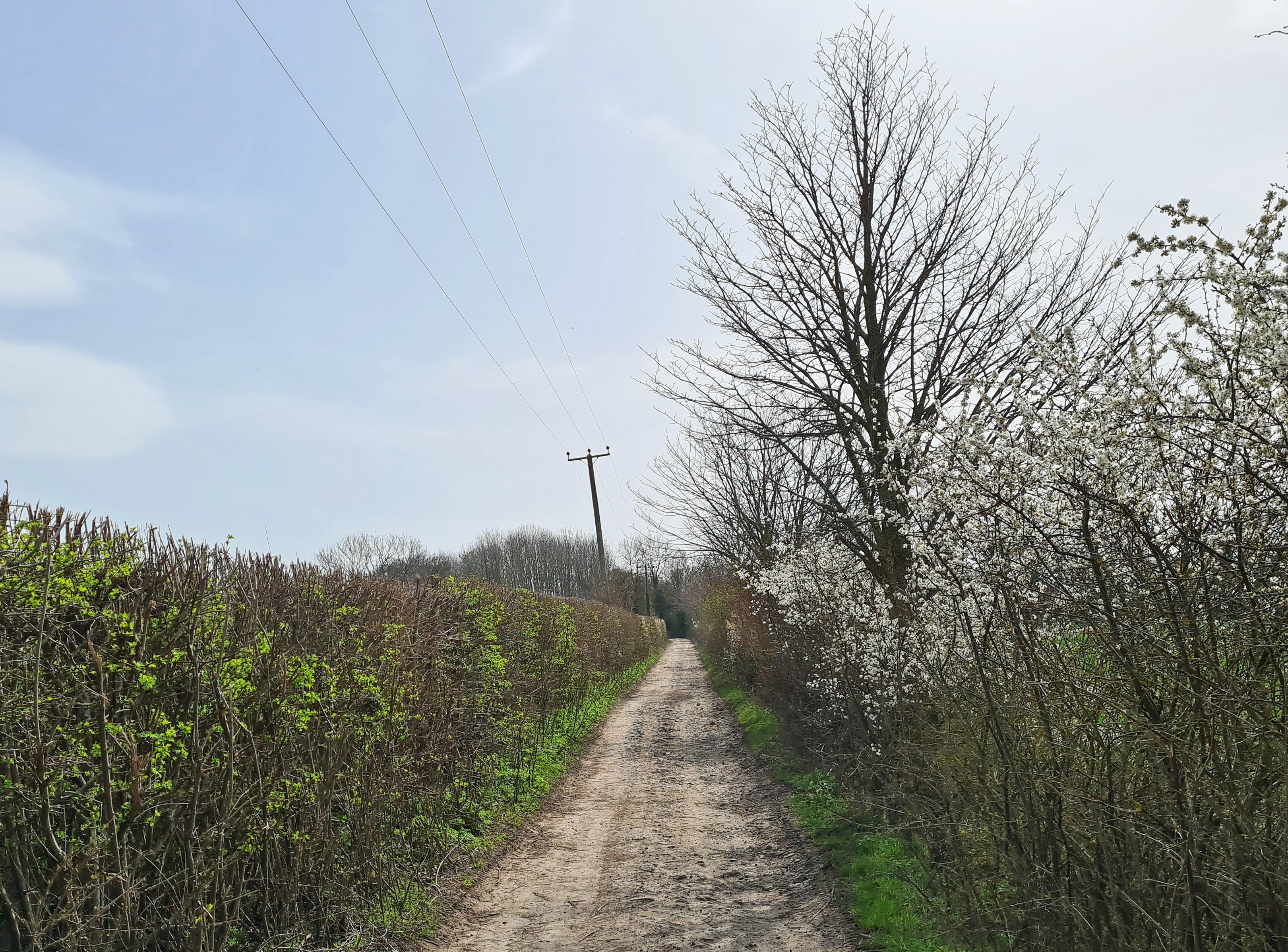 On to the North Downs Way