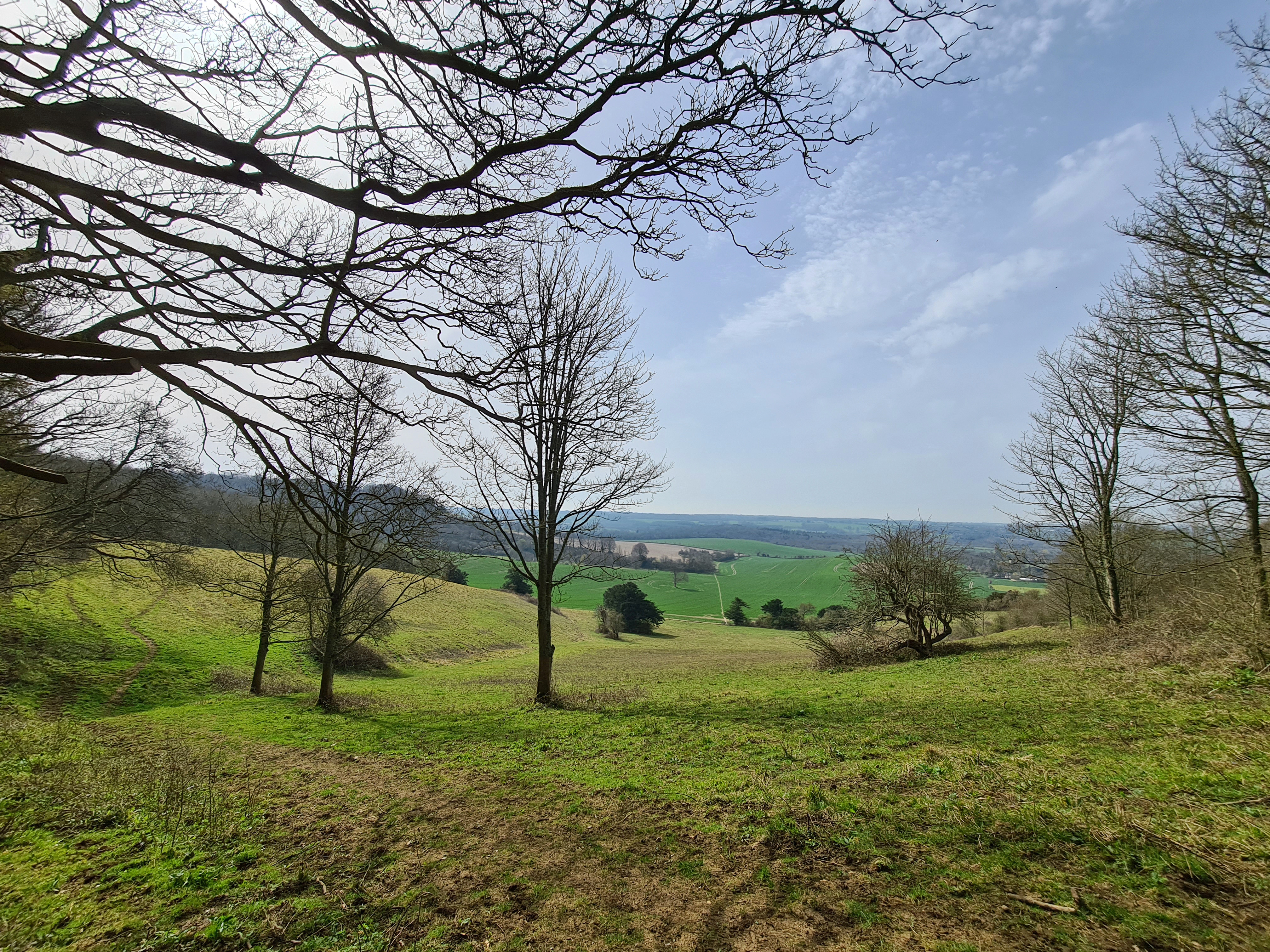 Descent from the Downs