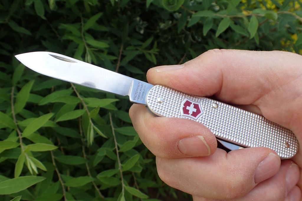 Respectable length blade on Victorinox Bantam