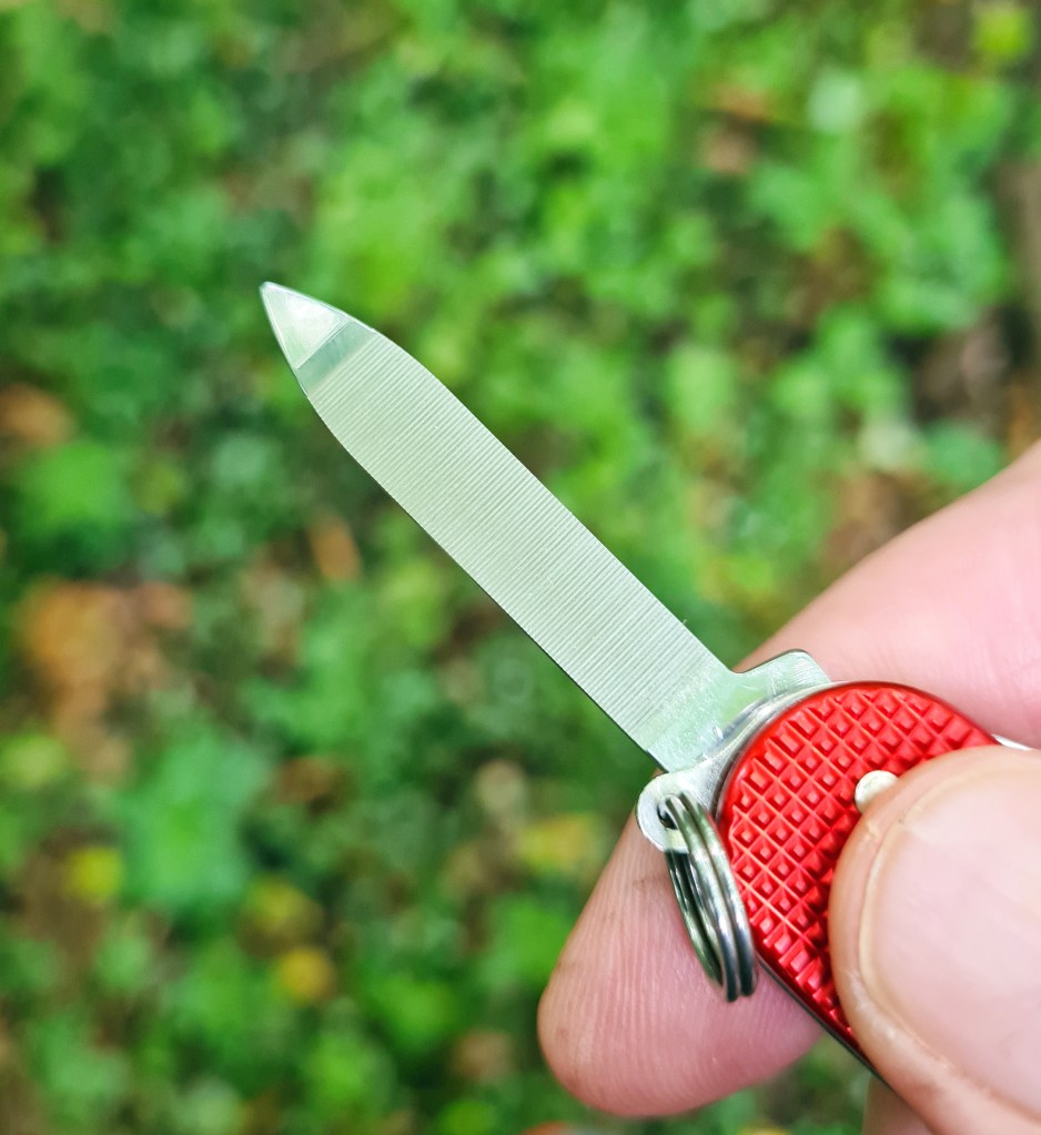Nailfile with nail cleaner tip
