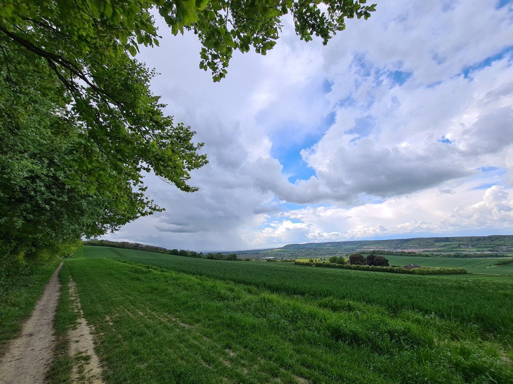 View back along North Downs Way/Medway Valley Walk showing the gentle climb up from the valley floor
