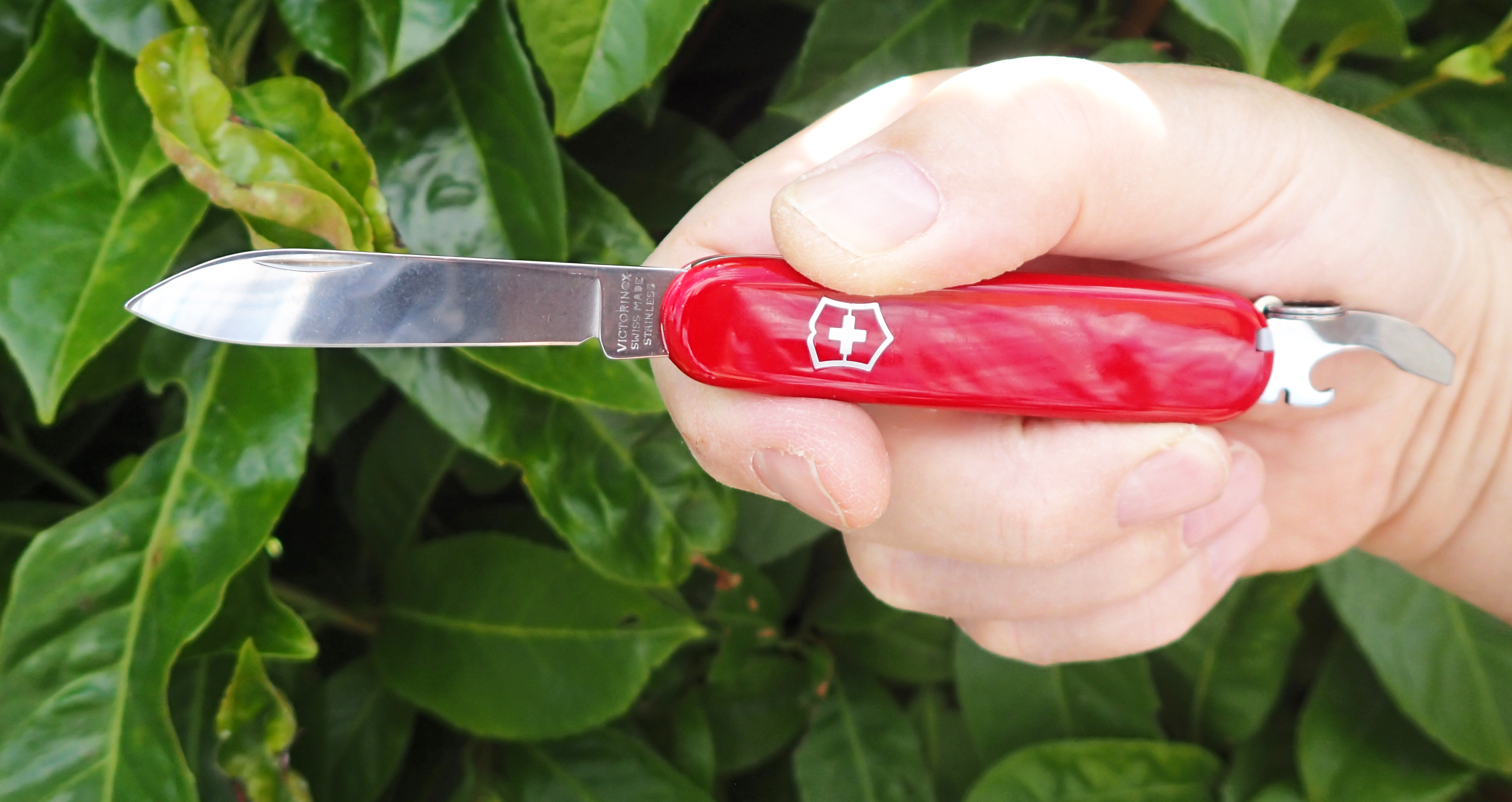 Victorinox Bantam. A simple set of tools in a thin traditional frame that is comfortable in the hand