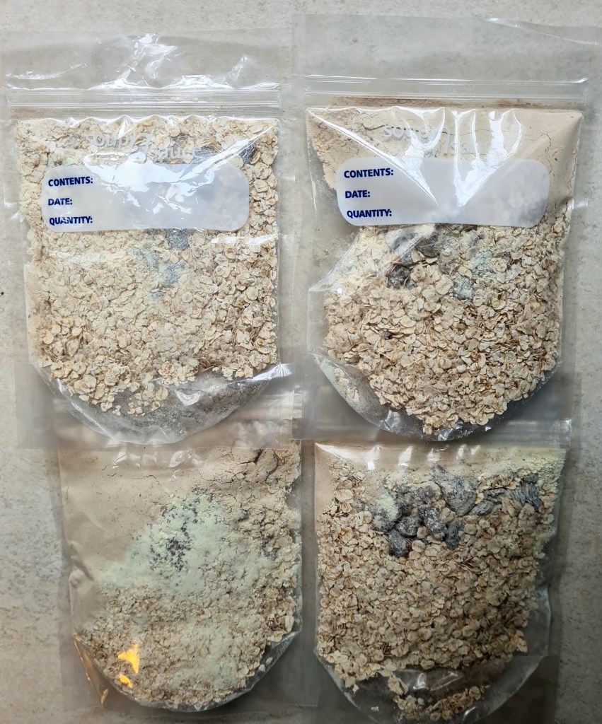 Home mix of a good portion of Flahavan's Irish Quick Oats (rolled wholegrain), plus a good spoonful of milk powder, plus a small handful of raisins, plus a teaspoon of dark muskovado sugar, plus a dessert spoonful of chocolate mint flavoured whey.