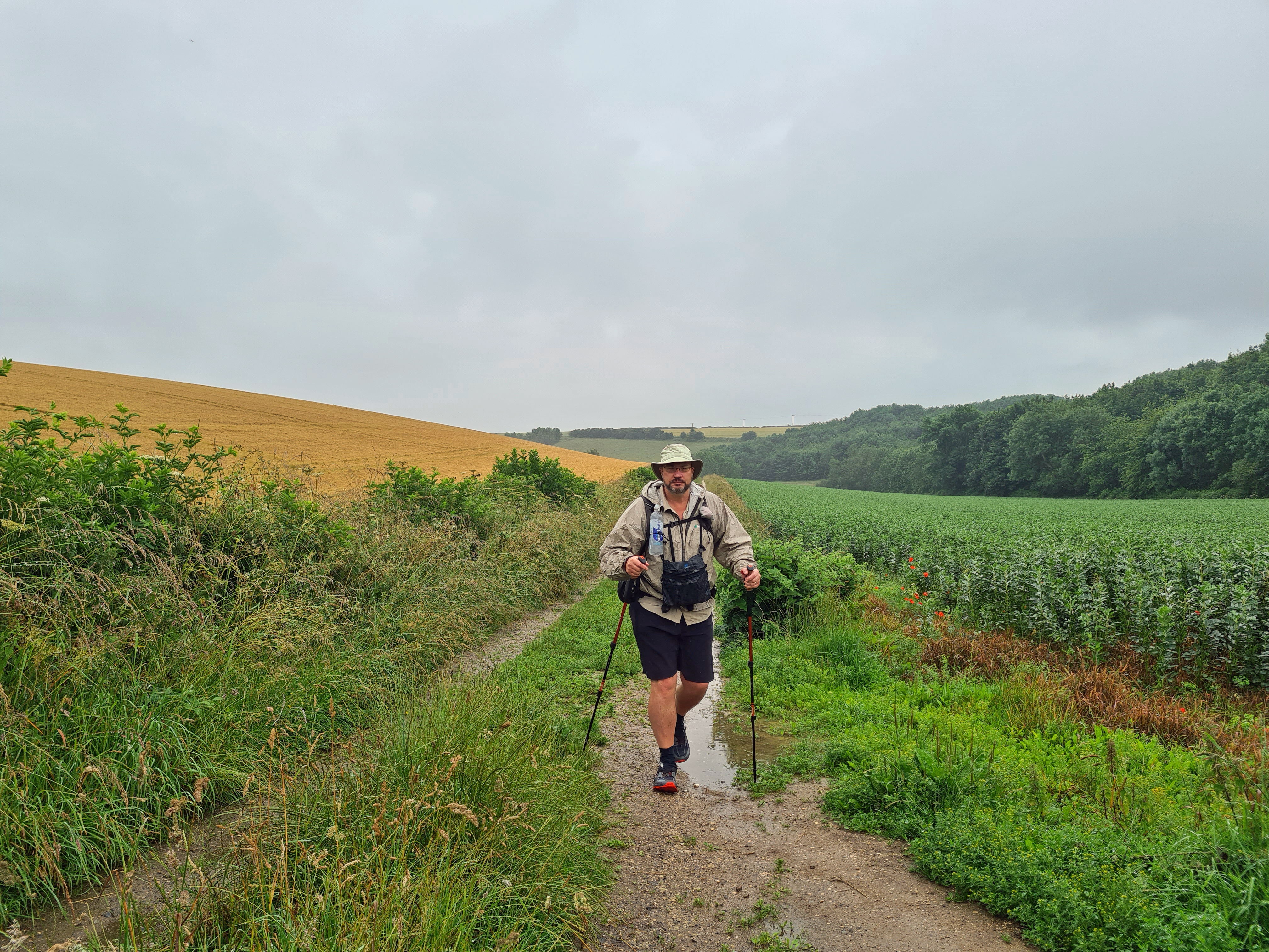 My first 'proper' day on trail was a short one as I had broken it's back by getting a few miles in the day before. It was wet and periodically chucked it down throughout my short day's walk. I enjoyed this, keeping cool and comfortable. Decent socks and trail runners are more than adequuated for this walk. A series of agricultural crop fields and a few damp looking sheep are passed for this stretch until ny reaching Goodmanham in time for a late lunchtime pint in the pub there.