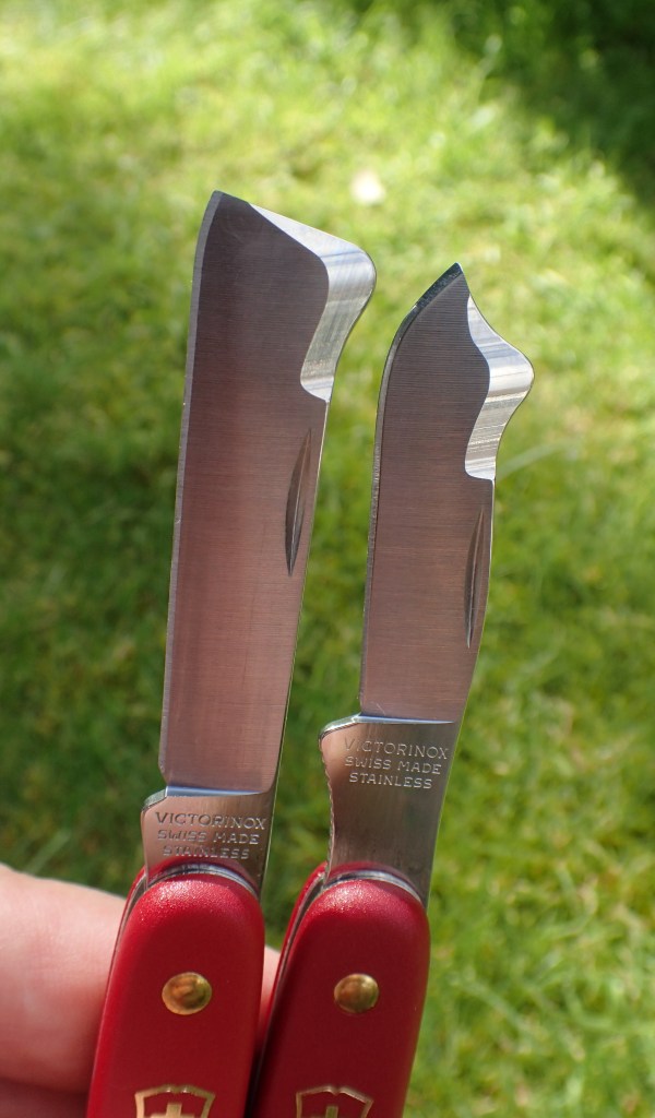 Modified clip point blades