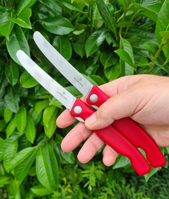 The two folding paring knives from Victorinox