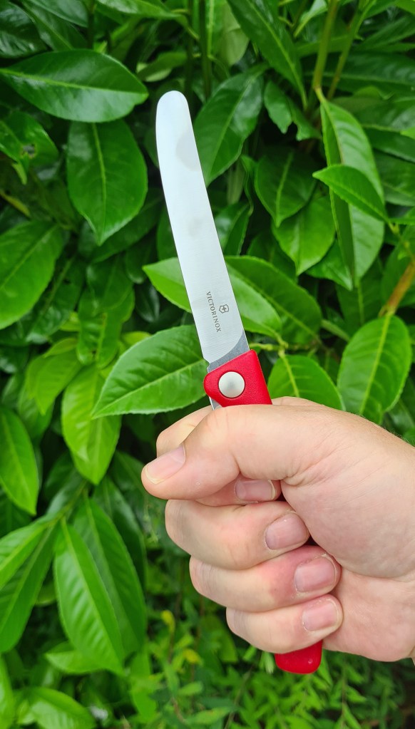 Handle is a good size to enable a full palm grip of the knife
