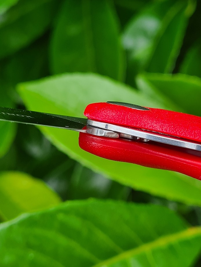 Folding the blade on the Victorinox paring knife