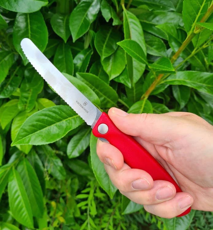 Handle is a good size to enable a full palm grip of the knife