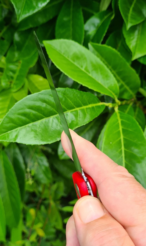 Pushing liner lock to one side