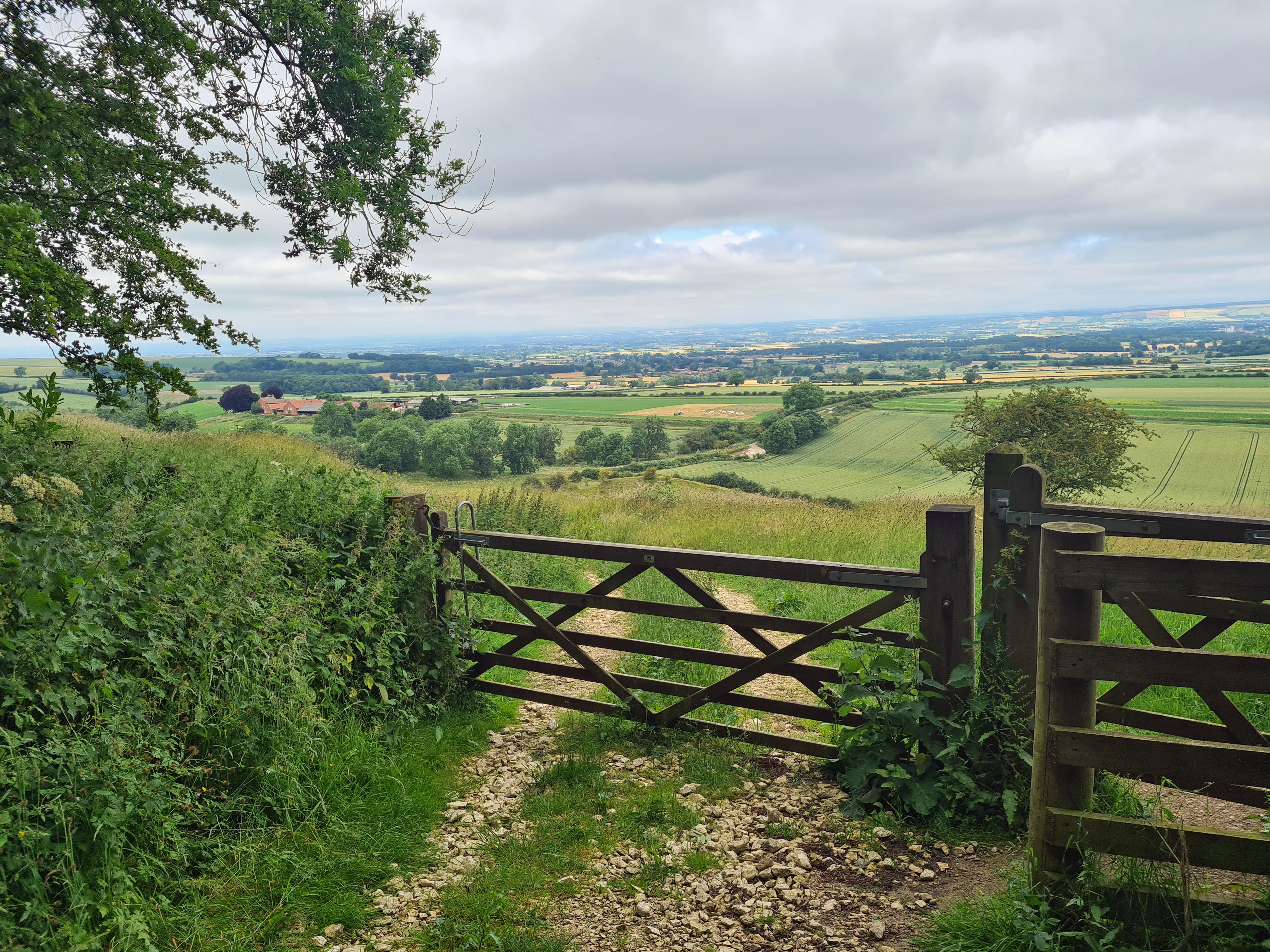 a drop to the low lands for half of the day's walking