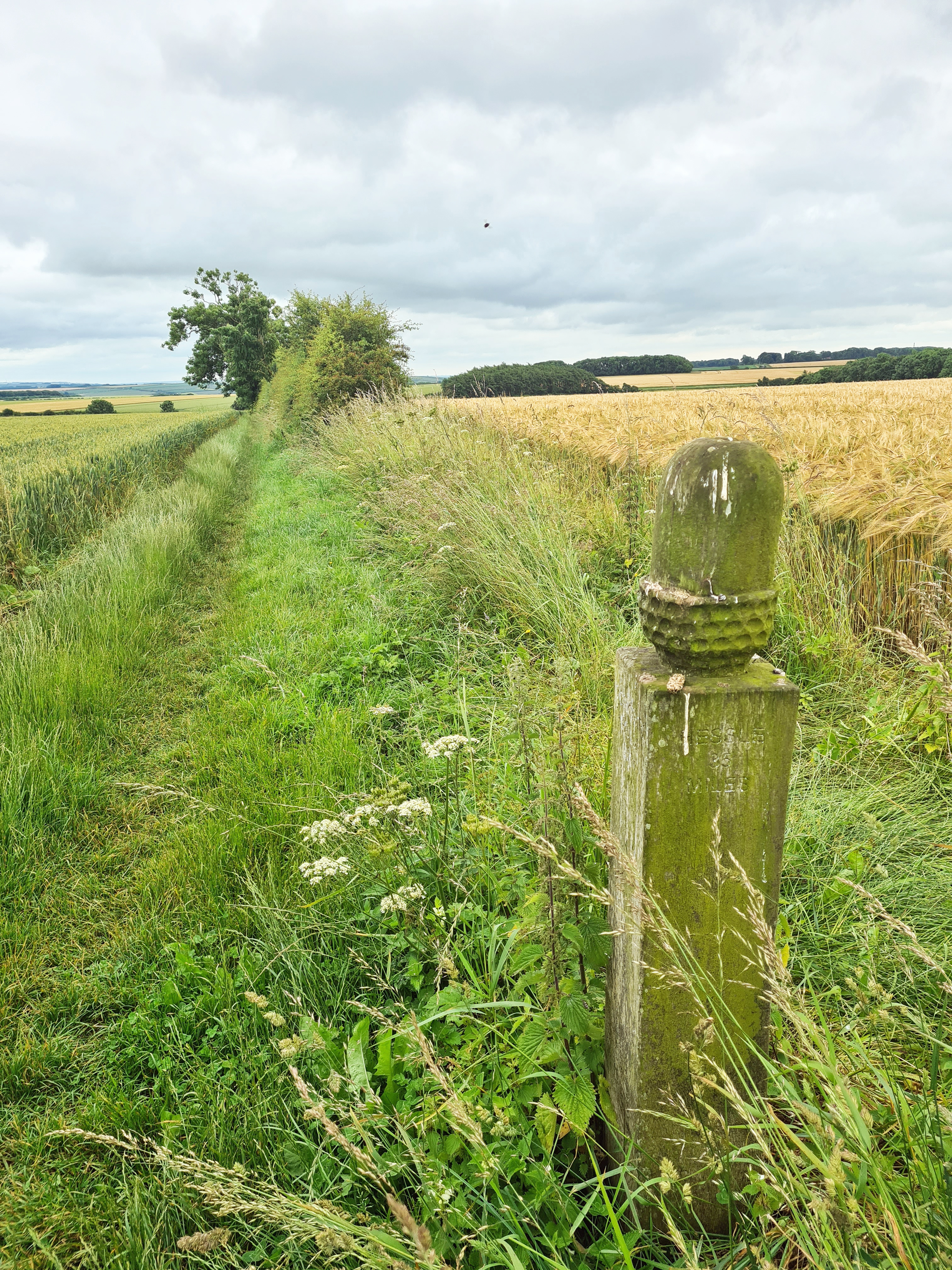 National Trail 'acorn posts' are encountered around every five miles