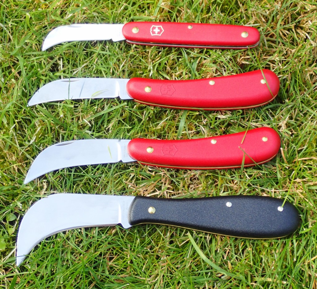 The four sizes of Victorinox pruner knives