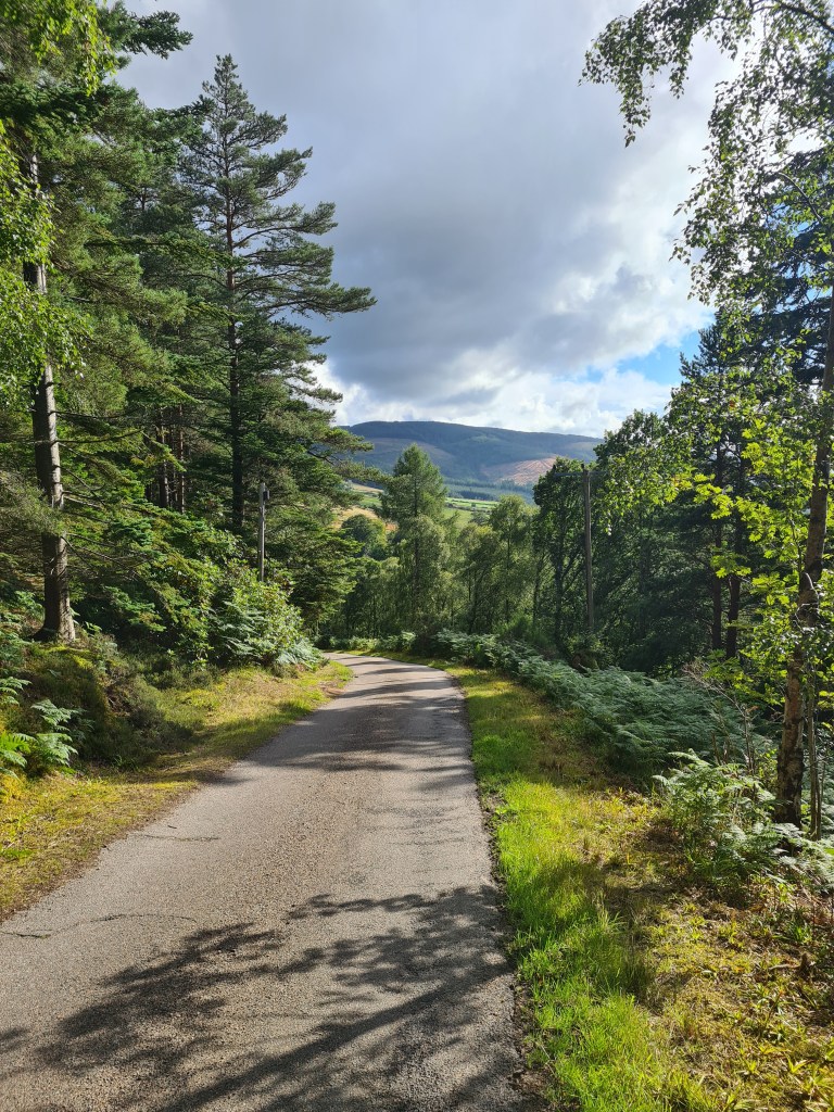 road out of Bridge of Fiddich