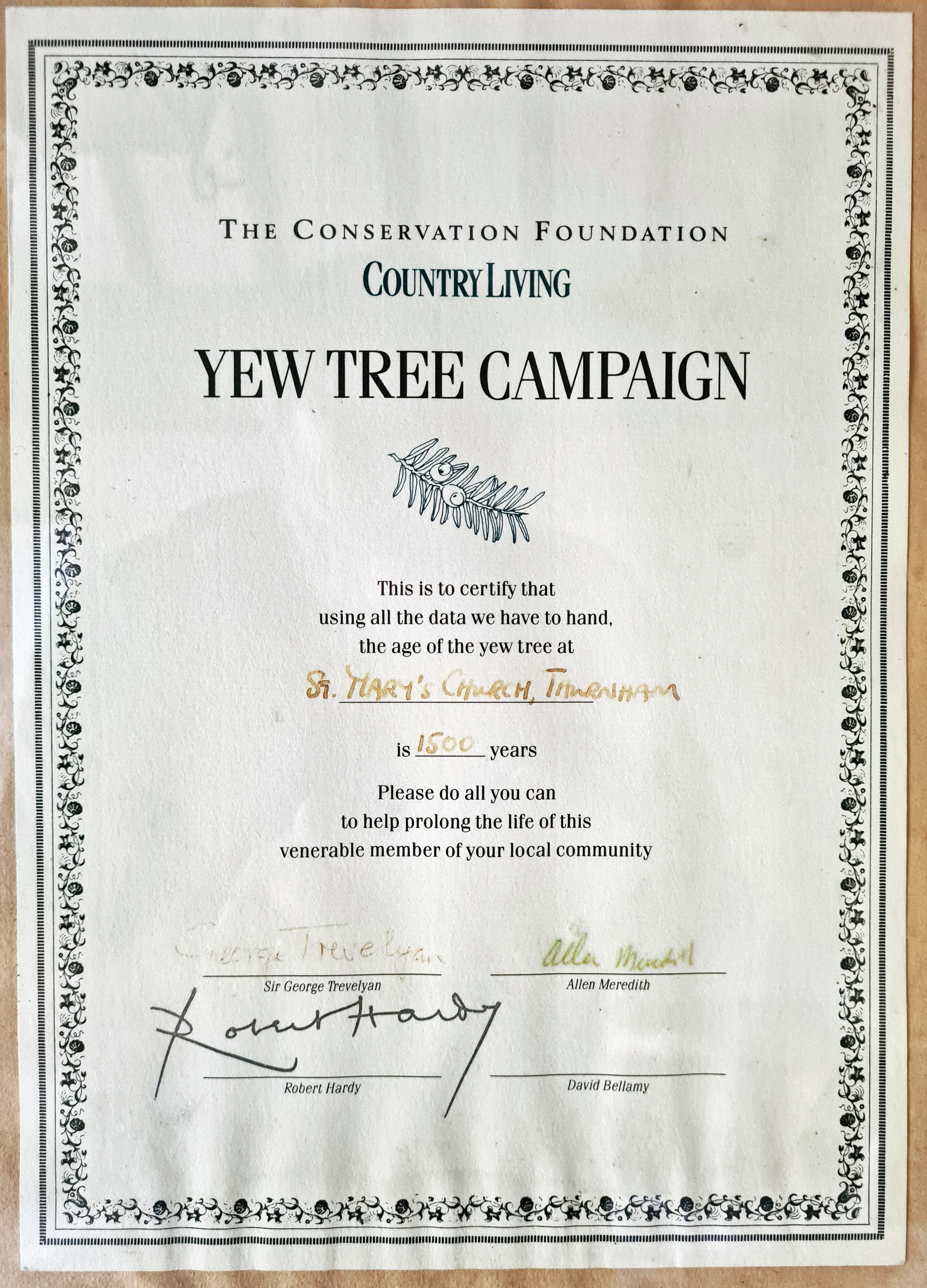 Certified aging of a churchyard yew