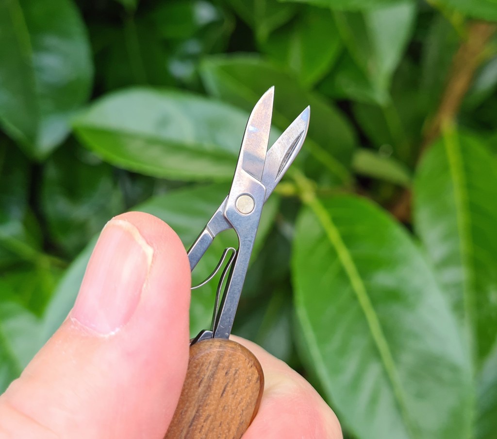 Scissors on Classic SD Wood