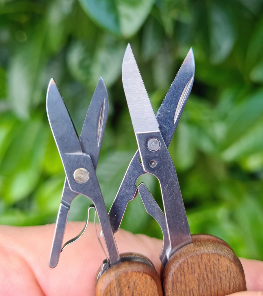 Scissors on smaller 58mm Classic SD and larger Evowood 81 compared