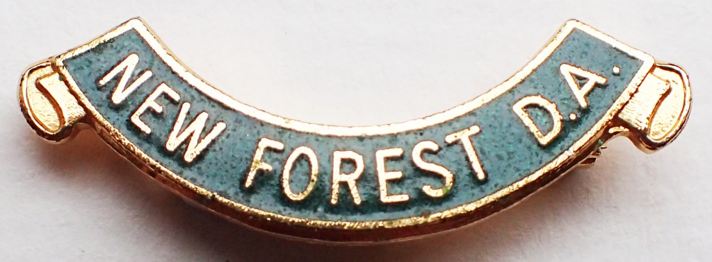 Enamel New Forest District Association badge. Pin back. 35mm. No maker's name