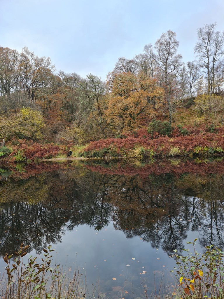 Autumn colours