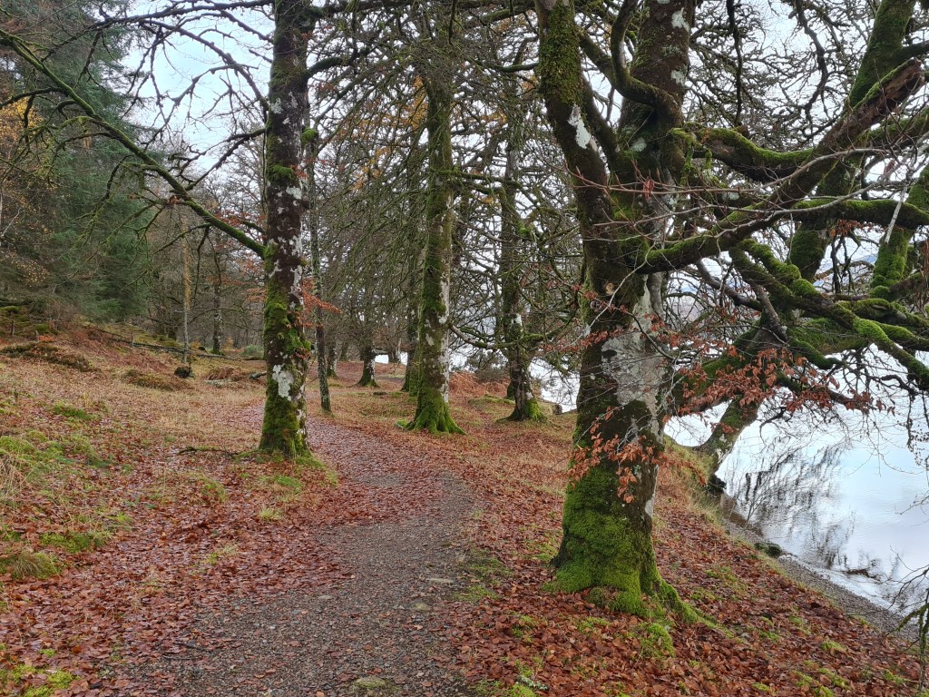 Glorious loch side walking