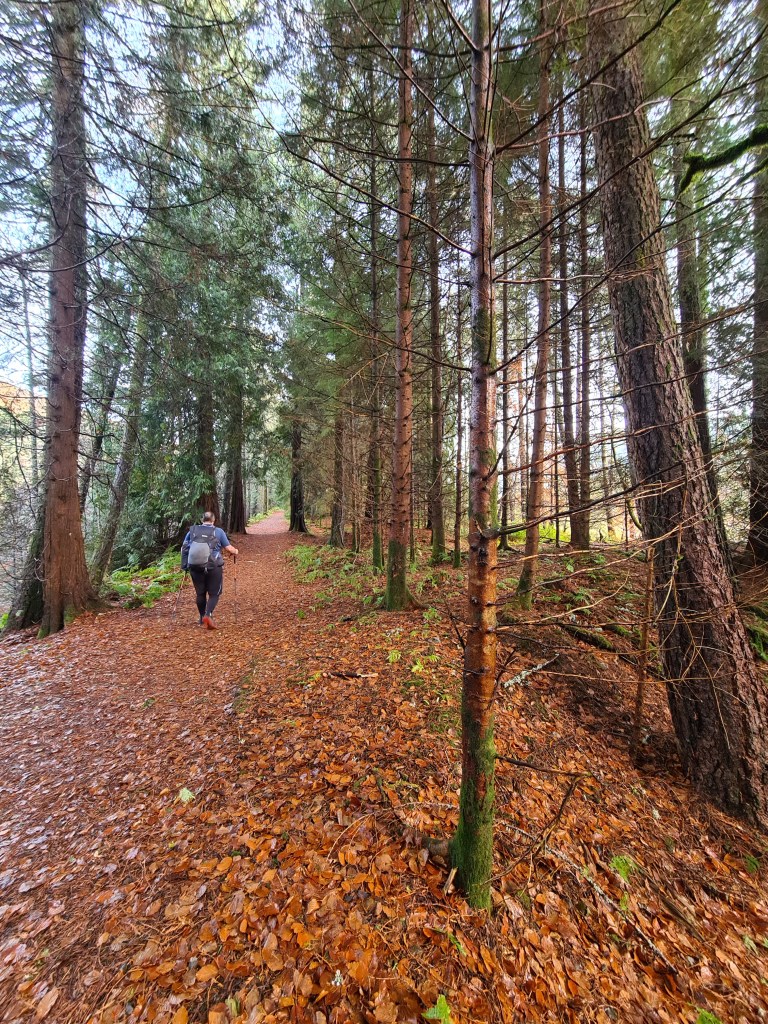 Day three on the Great Glen Way, November 2021