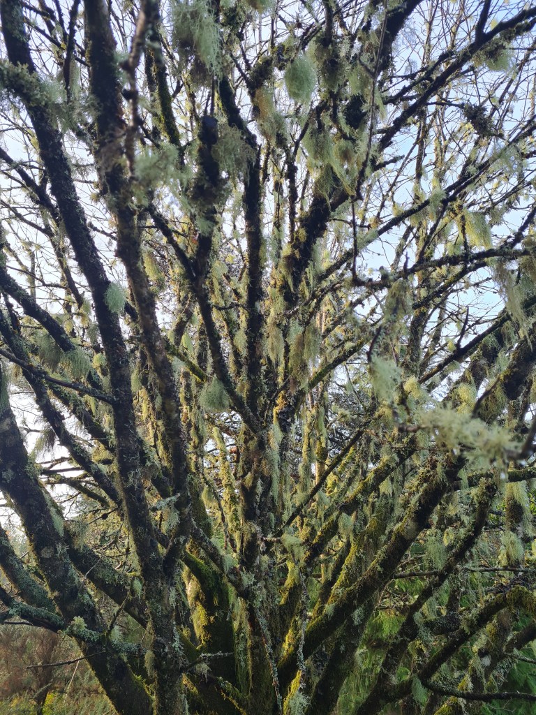 Day three on the Great Glen Way, November 2021