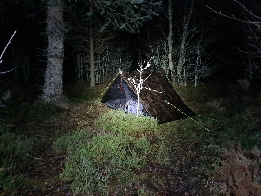 Camping amongst the trees at the Abriachan Eco-Campsite