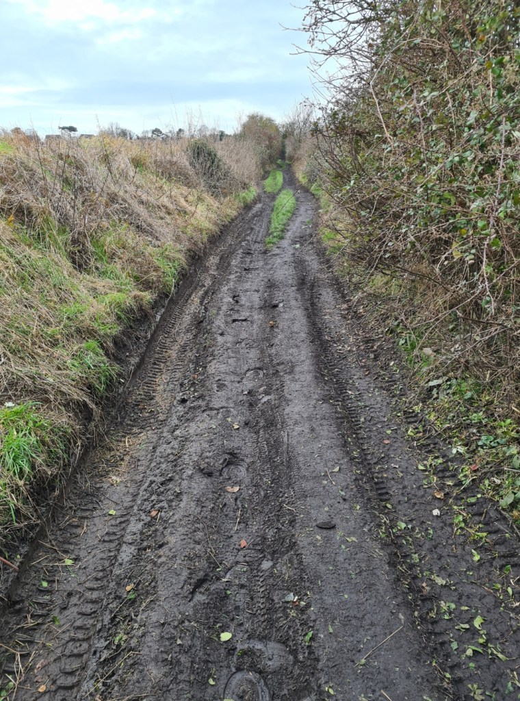 The brown dirt of some tracks has occasionally been turned black where abandoned coal waste has been used to improve the going, nearing Elvington, site of Tilmanstone Colliery
