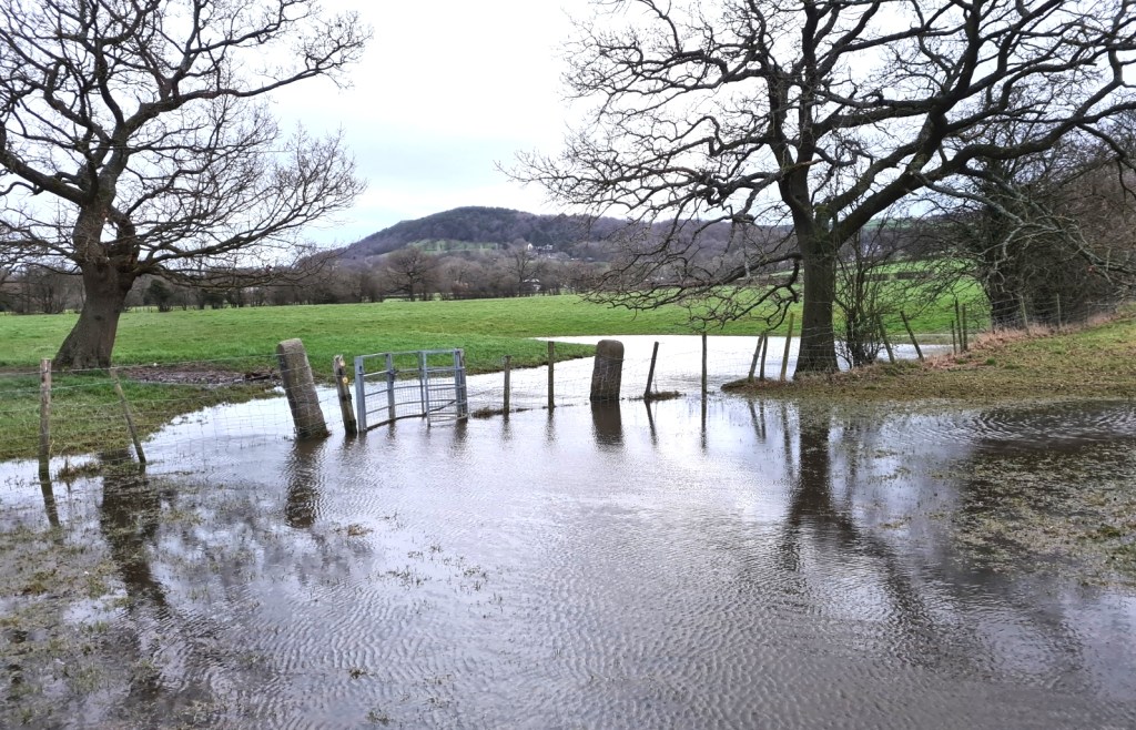 Flooded trail. It is either get wet feet or find a way over the barbed wire