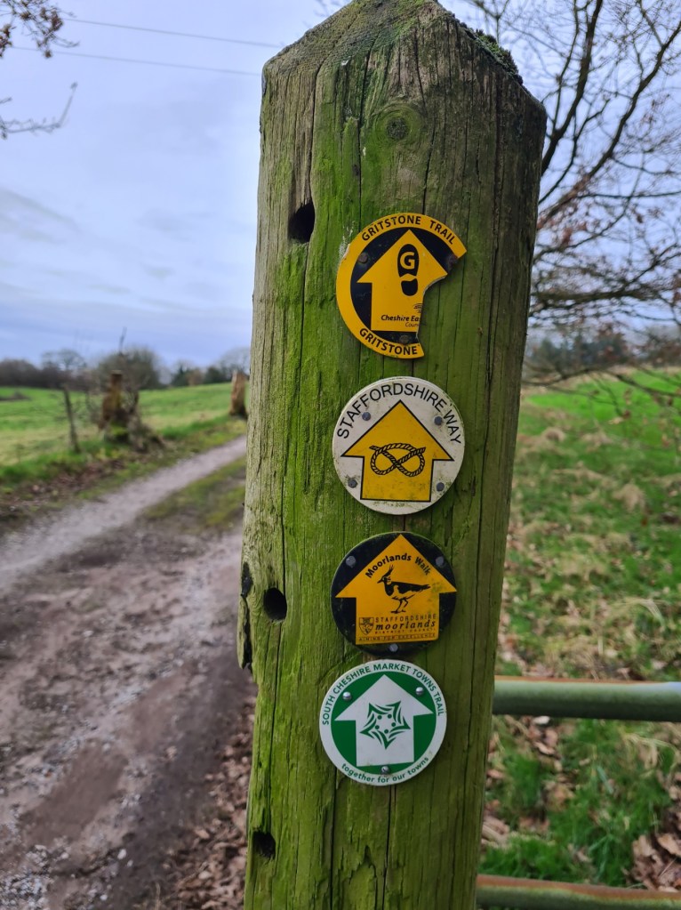 signage for four trails