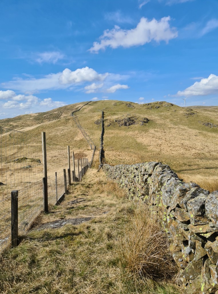 Deer fences attempt to exclude deer from moorland areas being regenerated