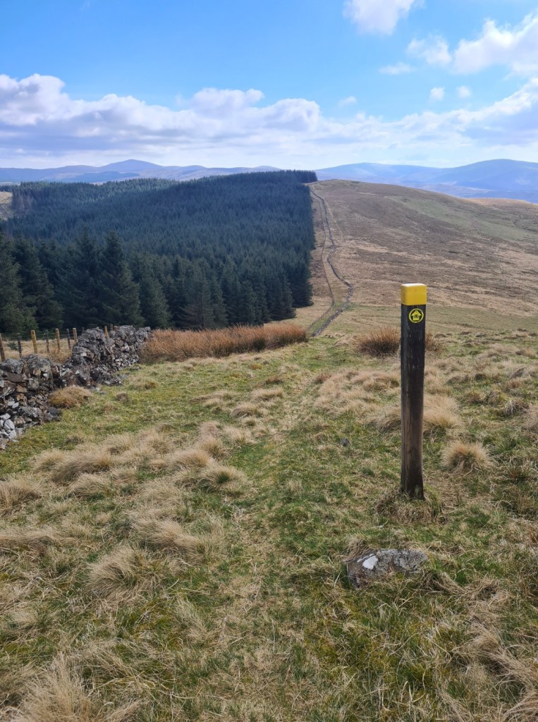 The contrast that is the Southern Uplands- sheep populated moorlands against monoculture forestry