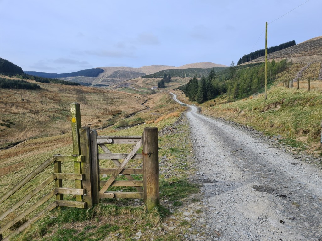 After leaving the bothy on day 12, there is a five and a half mile walk through the Ettrick Valley