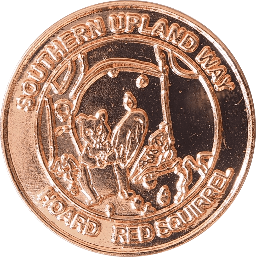 3- Hoard Red Squirrel. Image: SUW Ranger service