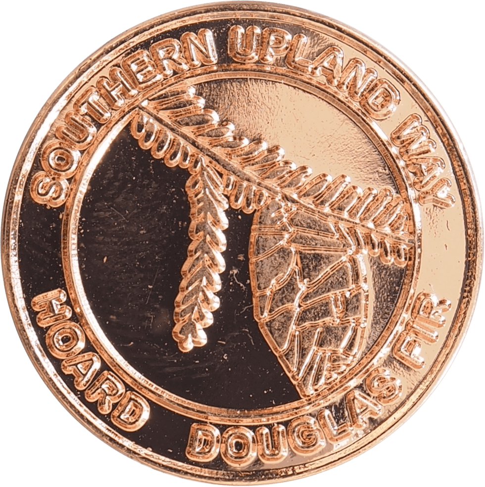 6- Hoard Douglas Fir. Image: SUW Ranger service