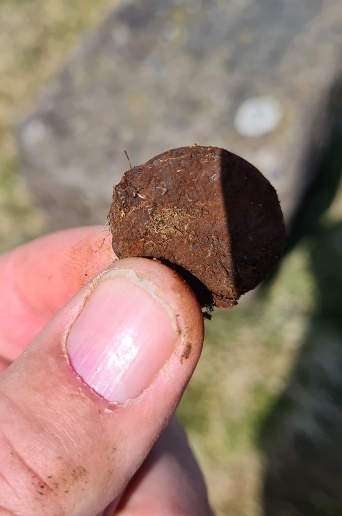 Badly corroded token