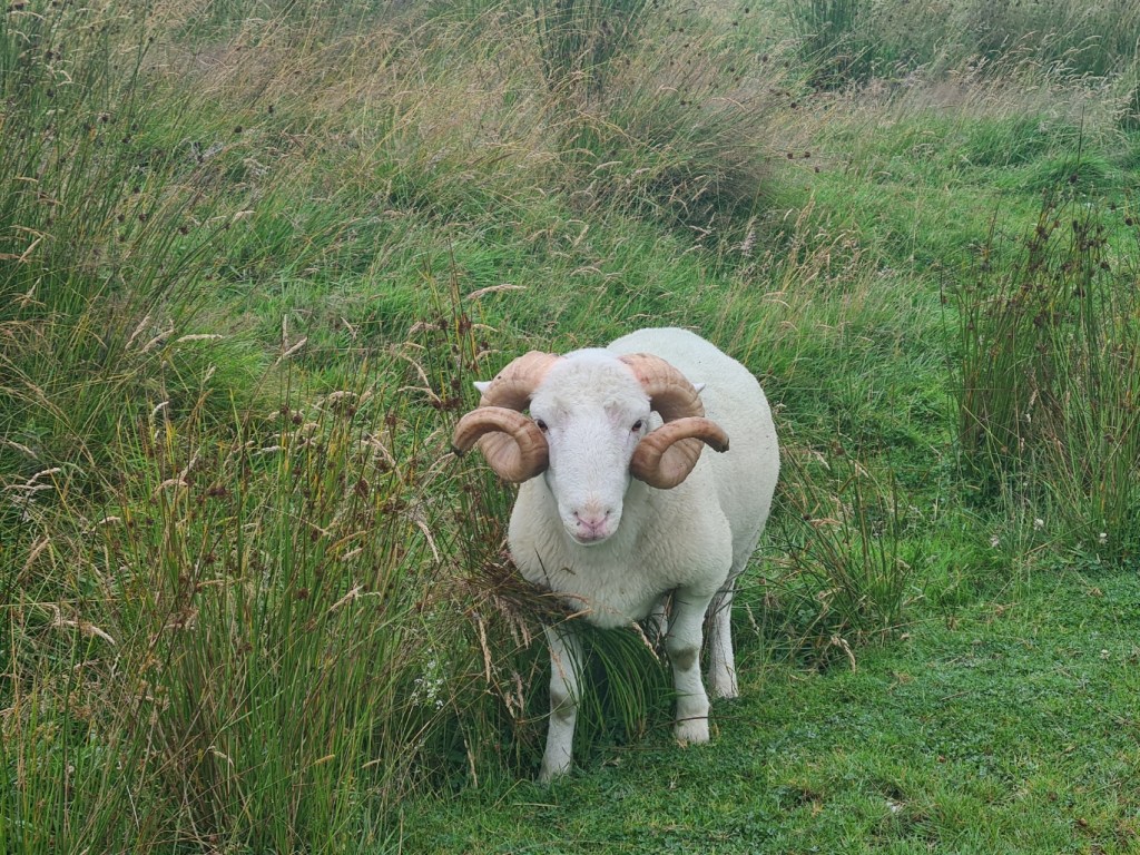 Not arguing with this chap