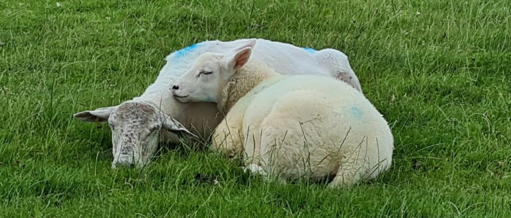 All together now, aahhhhhhhh