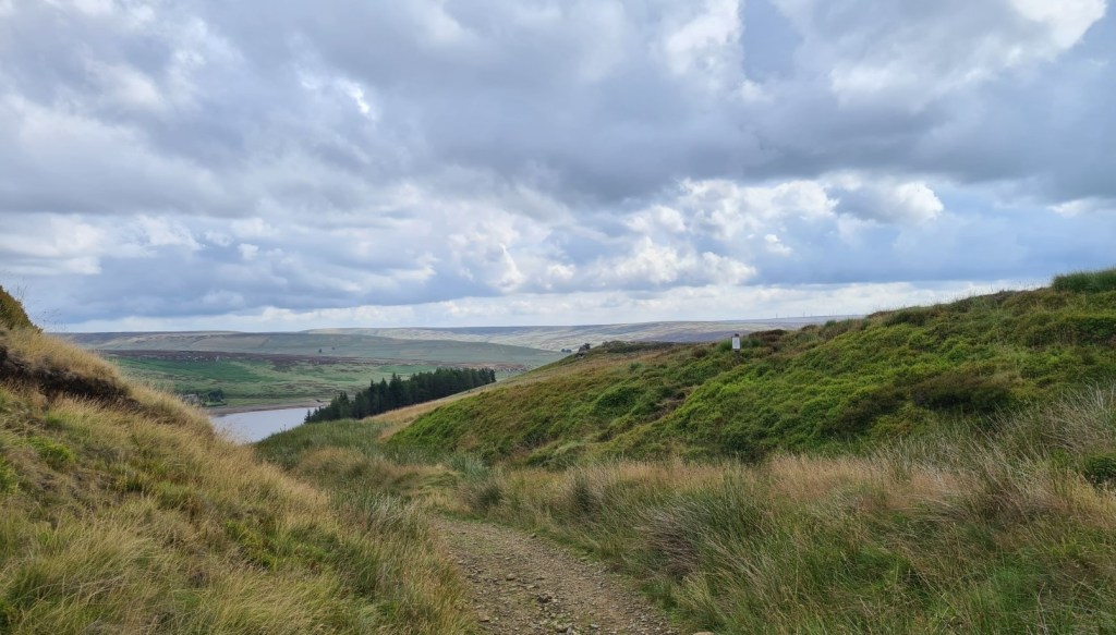 Descending through bilberry to Widdop Reservoir, supplying water to Halifax, 8 miles away
