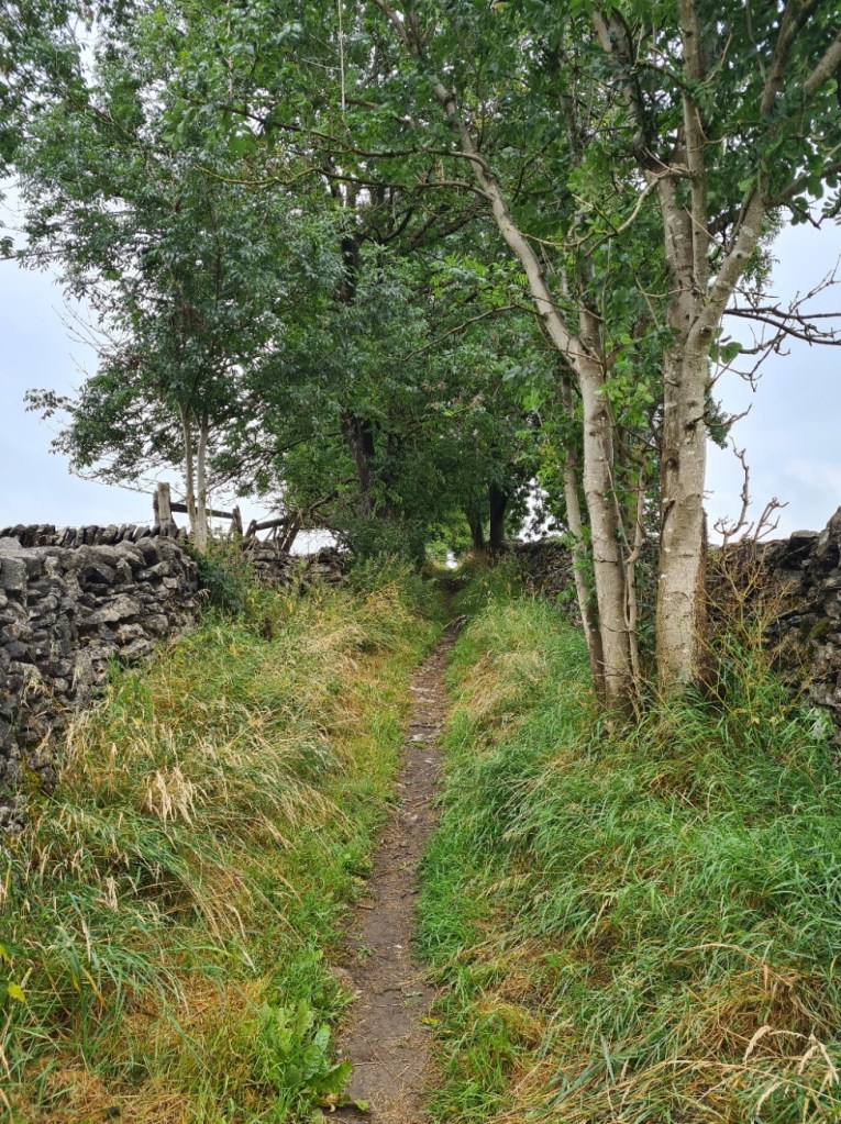 Easy path through the Peak District