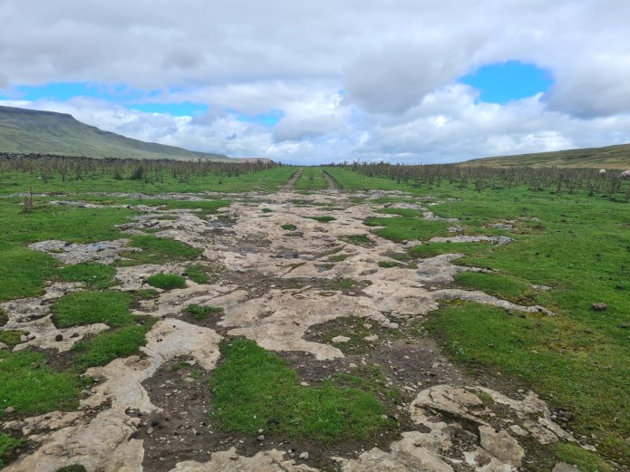 Exposed limestone on the High Way