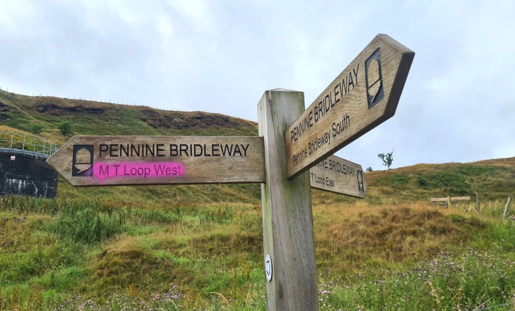 On to the Mary Towneley Loop