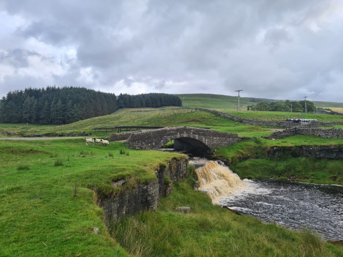 Following the track up to Yore House Farm