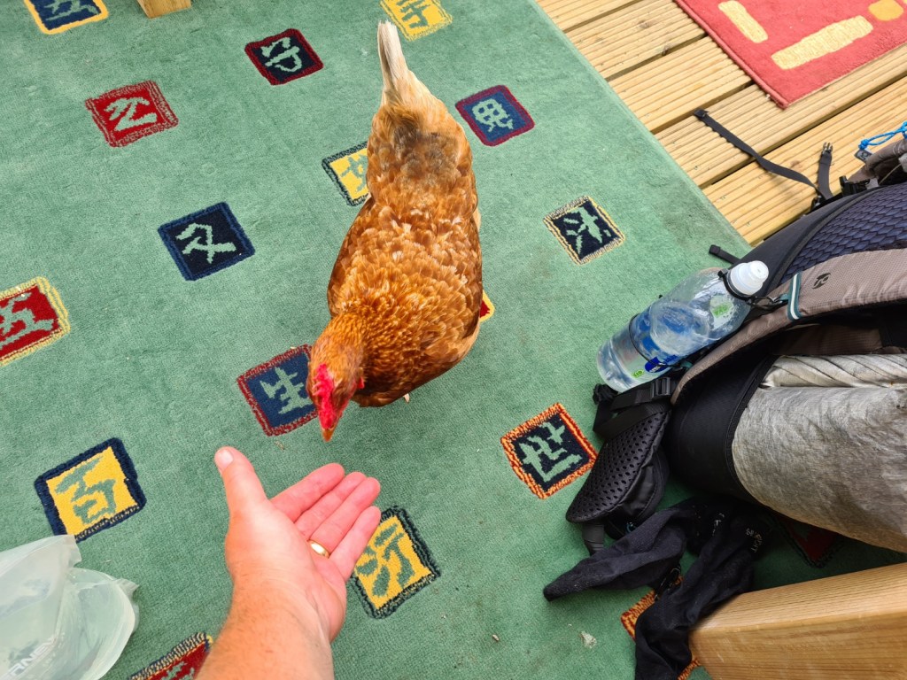 I'm not eating here again, the chicken was underdone