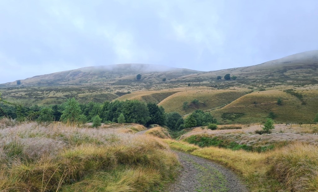 Morning of day 6. Glacial dumping ground in the Watergrove Valley