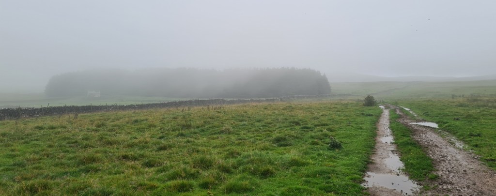 Starting the Settle Loop the previous evening I originally had my sight on a nights camp in a small plantation about a mile into the loop. Trodden by cows, it was a mudfest and completely unsuitable and I needed to retreat back the way I had come in search of a better location