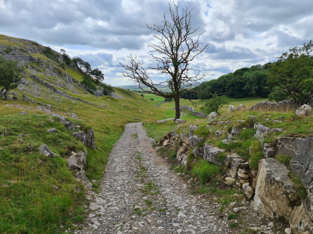 Rocky bridleway leading to Feizor