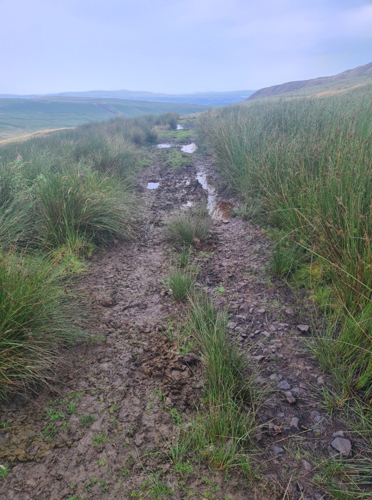 It was a wet start to day nine on trail, but things dried up during the day