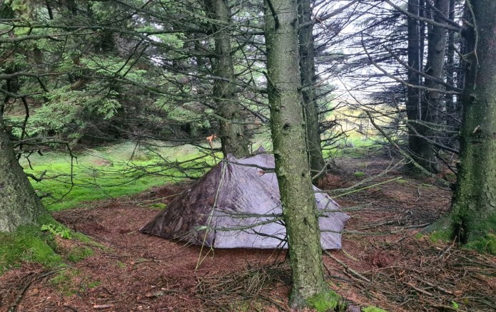 Wildcamp in woodland at Garsdale Station, day 13 on the Pennine Bridleway