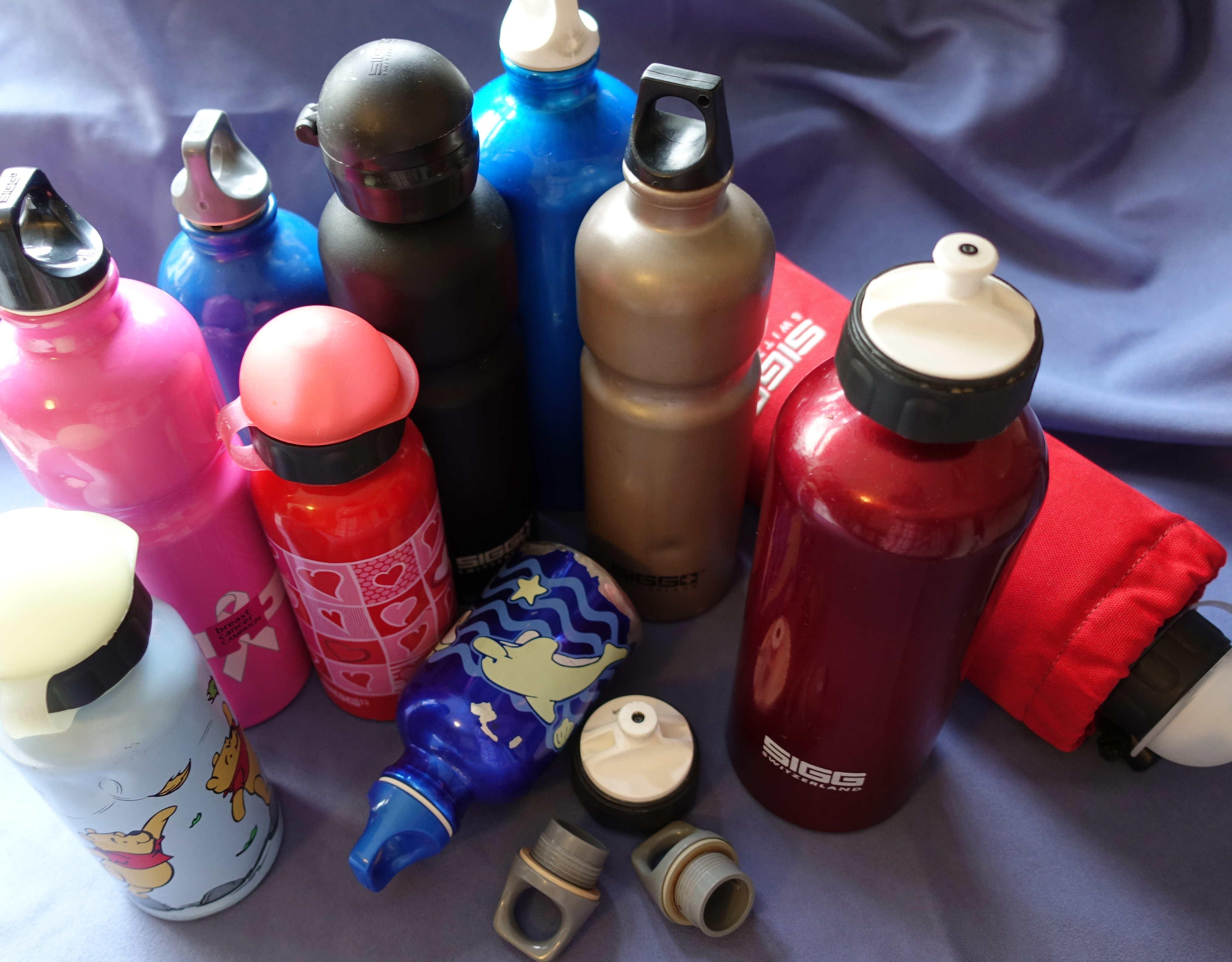 The Three Points of the Compass assortment of SIGG bottles. Various sizes and styles including two children's bottles. All are aluminium. one of which has a branded, insulated sleeve for cold weather use